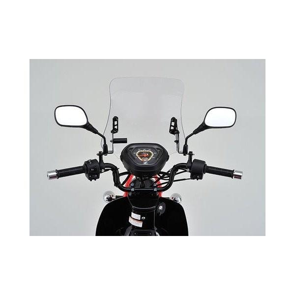 ディアスポラ　ターニングポイント DAYTONA（デイトナ） 95154 DAYTONA ウインドシールドRS 車種別キット