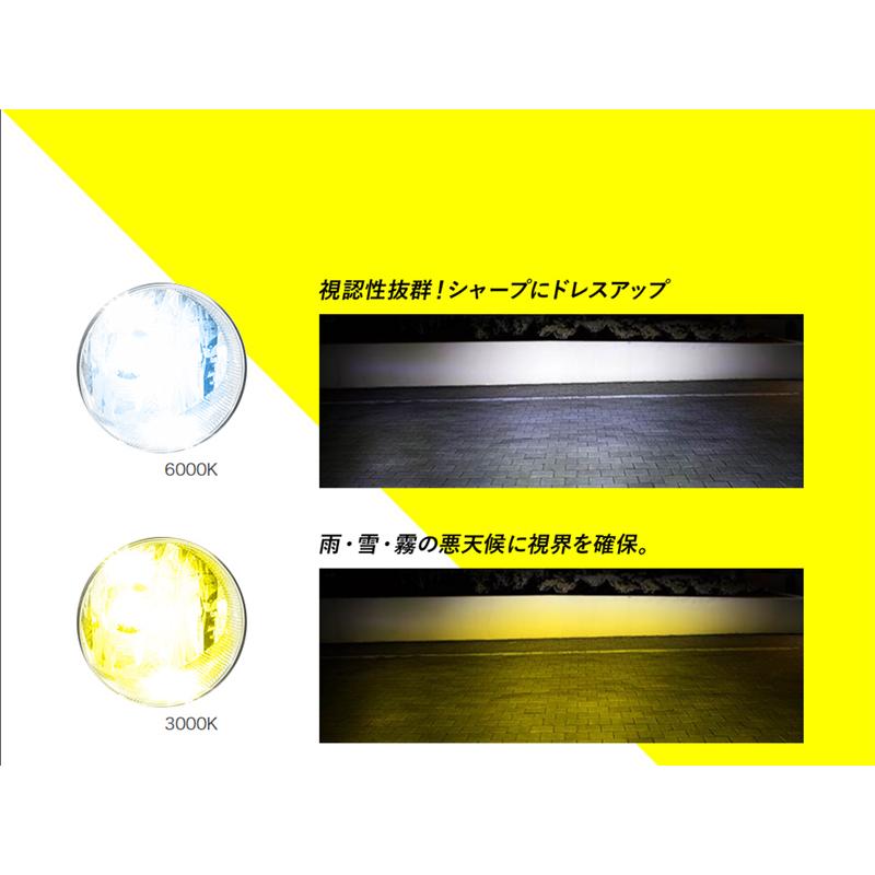 アイオライトスフィア② 30ミリ アイオライト【φ5.0cm】 / スフィア