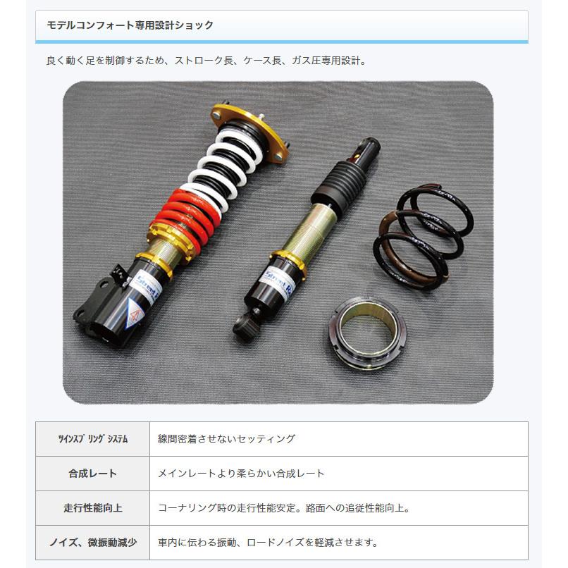 ストリートライド車高調 STREET RIDE DAMPER - RACING GEAR（RG