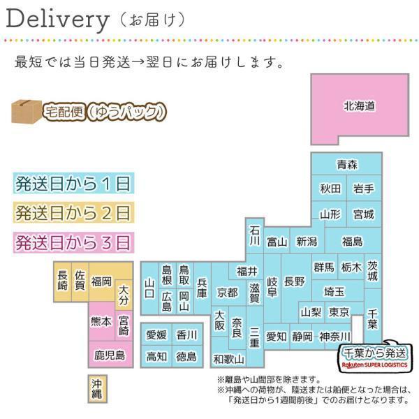 kigumi 江戸城 立体パズル 木製 お城 日本 名所 COOL JAPAN ki-gu-mi
