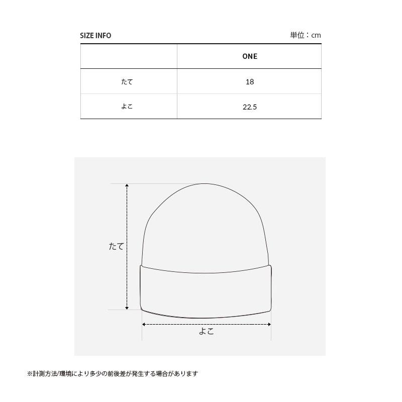 THE NORTH FACE ノースフェイス ニット帽 BIG LOGO BEANIE ビッグロゴ ビーニー 帽子 ニットキャップ ロゴ カジュアル メンズ レディース NE3BQ52A/B/C/Dの画像