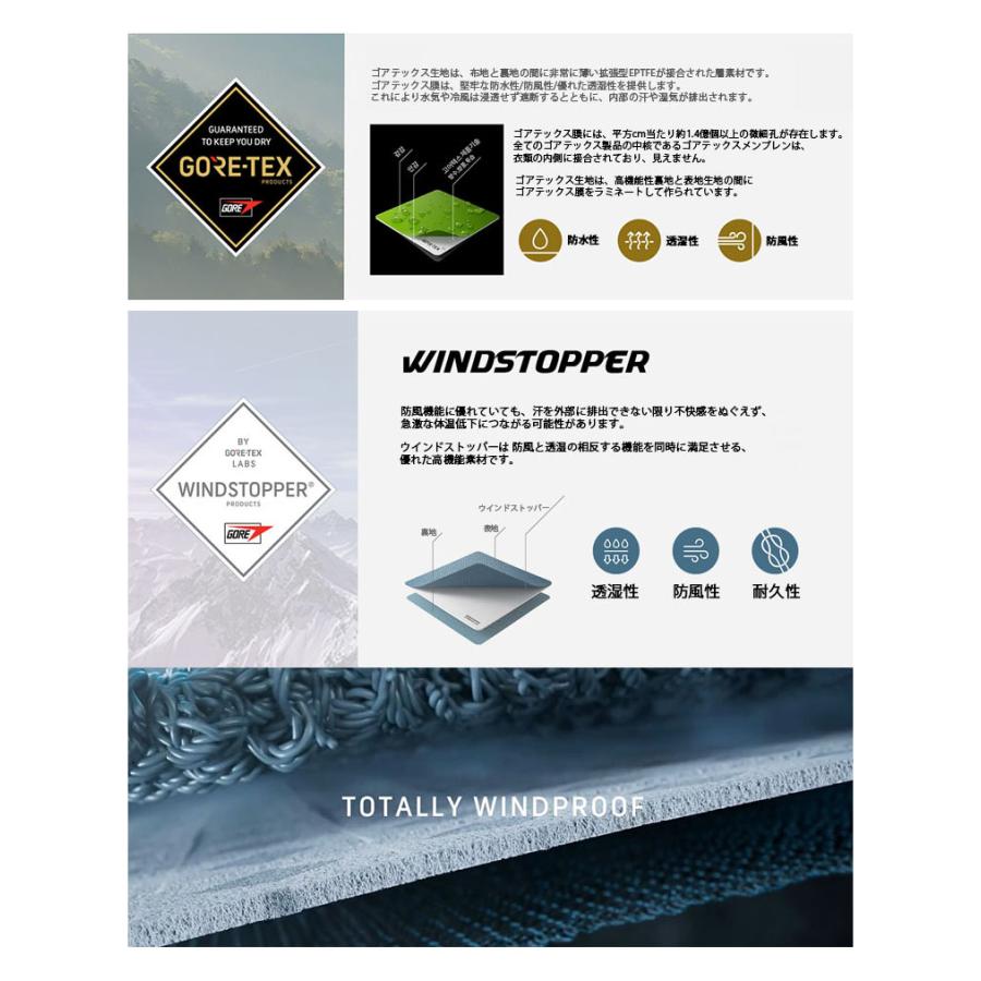 THE NORTH FACE ノースフェイス ダウンジャケット ゴアテックス 限定