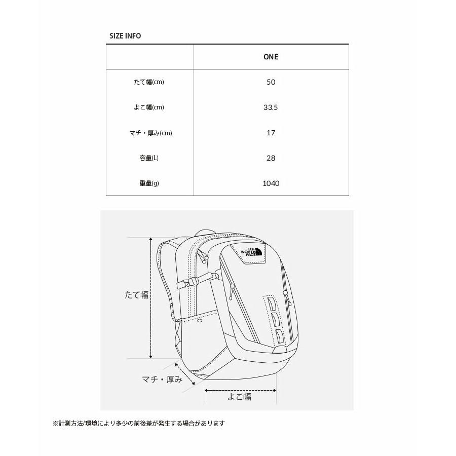THE NORTH FACE ノースフェイス リュック HOT SHOT ホット ショット バックパック デイパック ロゴ メンズ レディース 男性用 女性用 NM2DP01B/C_9