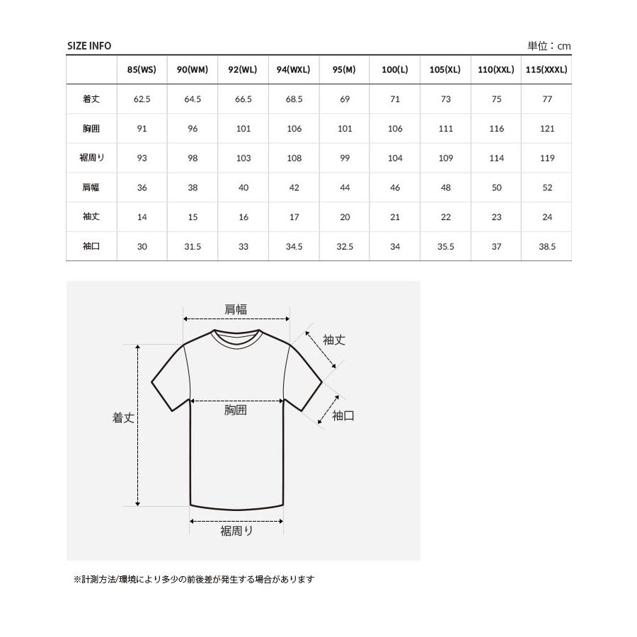 THE NORTH FACE ノースフェイス Tシャツ LINDEN S/S R/TEE リンデン ショートスリーブ ラウンドネック ティーシャツ 半袖 メンズ レディース NT7UP01J/K/L/M/N｜snkrs-aclo｜14