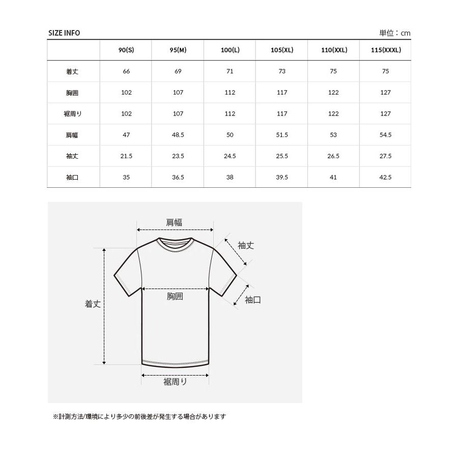 THE NORTH FACE ノースフェイス Tシャツ RELEASE S/S R/TEE THE NORTH FACE ノースフェイス Tシャツ RELEASE S/S R/TEE