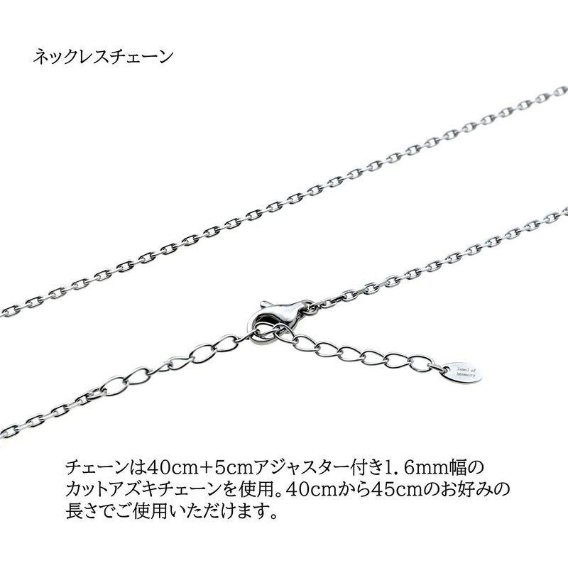 Jewel of Memory 遺骨ペンダント 遺骨ネックレス 手元供養 メモリアル 遺骨入れ ステンレス 316L メンズ レディース ム of Memory 遺骨ペンダント 遺骨ネックレス 手元供養 メモリアル 遺骨入れ ステンレス 316L メンズ レディース ム