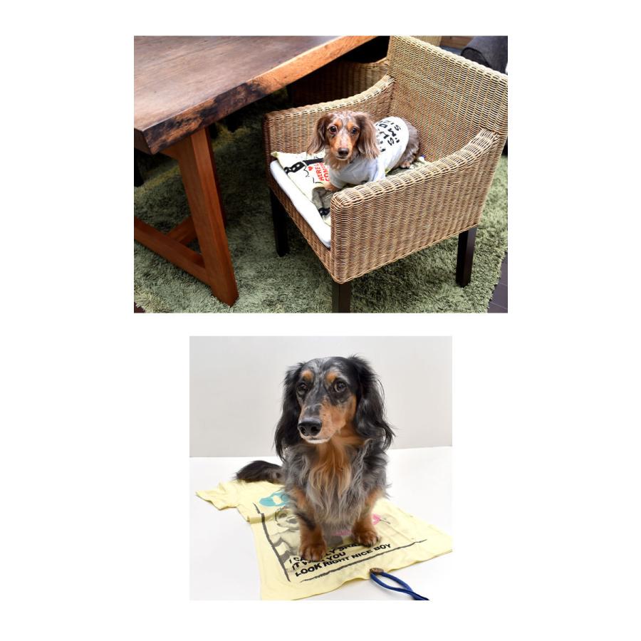 ドッグマット カフェマット Tシャツ型 カートマット マット カフェ コンパクト 犬 いぬ Dog Dog ペット Pet ペットグッズ ペット Petto ペット用品 ゆうパケット Da014 Snowdrop 通販 Yahoo ショッピング