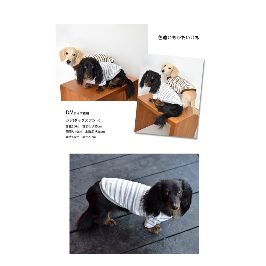 愛用 ボーダー ダックスサイズ Snowdrop Tシャツ ロングスリーブ トライプカット 長袖 犬 ドッグ 服 Discoversvg Com