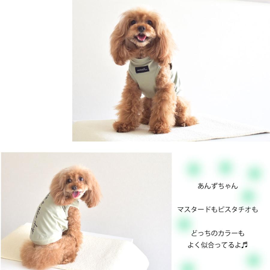【在庫処分SALEの為返品交換不可】HAVE A NICE DAY タンクトップ ロゴタンクトップ snowdrop　バックロゴ ペット 服 犬 DOG　ゆうパケット対応 | ブランド登録なし | 04
