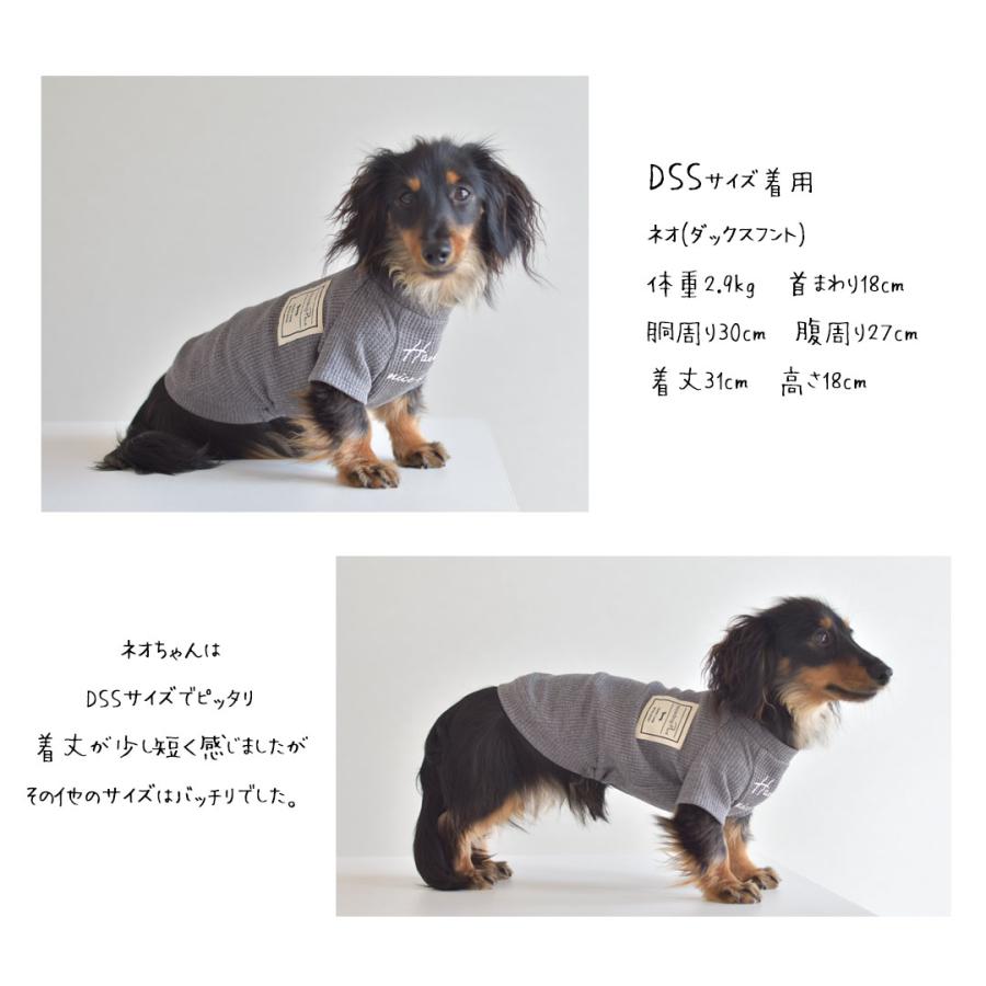 Tシャツ ダックスサイズ ワッフル 名入れ 刺繍 カノコフレンチ袖