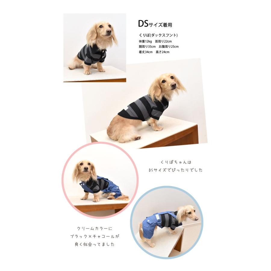 Snowdrop ダックスサイズ Ds Dm Dl ラガーシャツ ボーダー オリジナル Tシャツ 半袖ボーダーシャツ 犬 ドッグ 服 犬服 小型犬 中型犬 犬用品 Dog Dog ペッ Sd115d Snowdrop 通販 Yahoo ショッピング