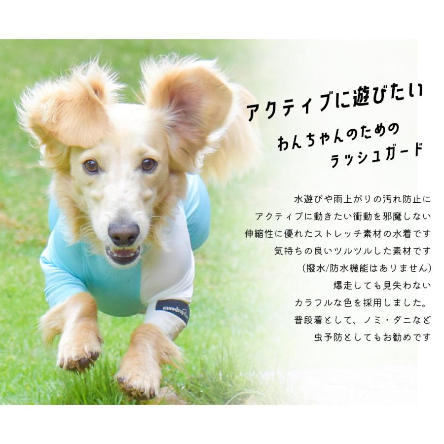 水着 夏服 ダックスサイズラッシュガード Snowdropアクティブロンパース オリジナル 犬 小型犬 中型犬 Odekake ゆうパケット対応 Sd137d Snowdrop 通販 Yahoo ショッピング