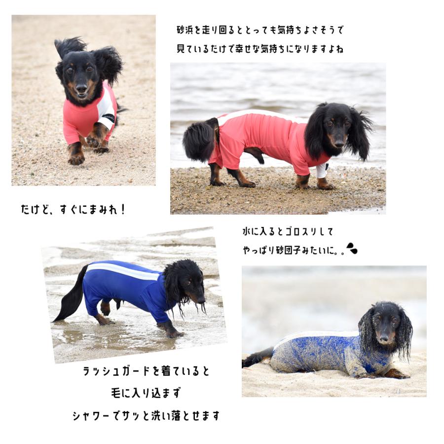 (在庫処分SALEの為返品交換不可)水着 ダックスサイズ ラッシュガード snowdrop アクティブロンパース つなぎ カバーオール 犬 ODEKAKE ゆうパケット対応 | ブランド登録なし | 03