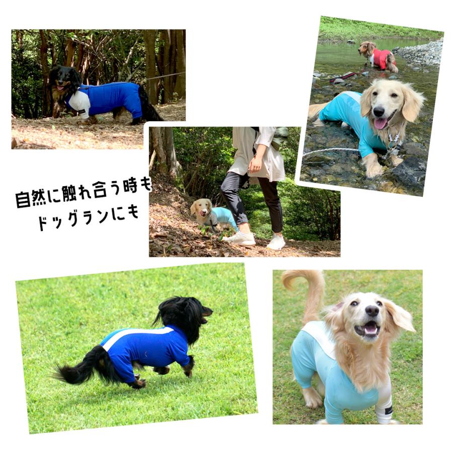 Snowdrop 水着 ダックスサイズラッシュガード アクティブロンパース オリジナル 犬 小型犬 中型犬 ゆうパケット対応 Sd137d Snowdrop 通販 Yahoo ショッピング