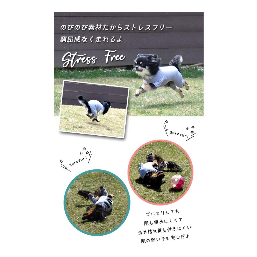 袖ボーダーカバーオール Snowdrop カバーオール オールインワン つなぎ オリジナル ストレッチ のびのび 犬服ゆうパケット対応 Sd140 Snowdrop 通販 Yahoo ショッピング