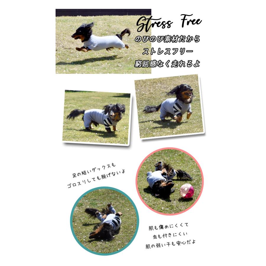 リニューアルにつき値下げ在庫限り 袖ボーダーカバーオール Snowdrop ダックスサイズ オールインワン 伸縮性 ストレッチ 犬 服 ゆうパケット対応 Sd140d Snowdrop 通販 Yahoo ショッピング