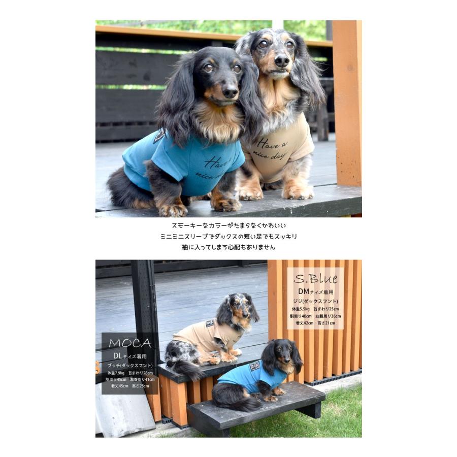 在庫限り値下げsale オリジナル ダックス フレンチ袖ｔシャツ 犬 服 ｄｏｇ Dog ボーダー Petto ペット ゆうパケット対応 Sd141d Snowdrop 通販 Yahoo ショッピング