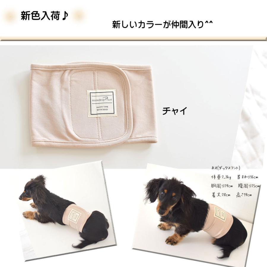 市場 ポイント5倍 猫用トイレ 32枚 ペット用品 猫用品 フード マナーウェア グッズ 男の子用ll