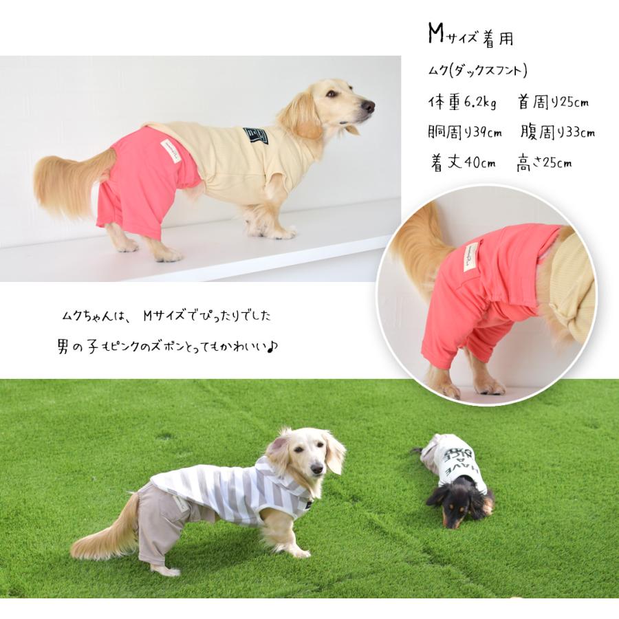(在庫処分SALEの為返品交換不可)マナーパンツ＆スカート snowdrop マナーベルト付き パンツ DOG dog ペット服 犬の服  ゆうパケット対応