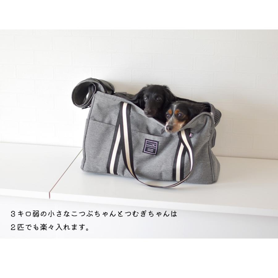 低価格化 キャリーバッグ ストライプショルダー PVC snowdrop ペット 犬 猫 ペット用品 ペットバッグ 防災 通院 ODEKAKE ゆうパケット不可 lambooscameras.com 低価格化 キャリーバッグ ストライプショルダー PVC snowdrop ペット 犬 猫 ペット用品 ペットバッグ 防災 通院 ODEKAKE ゆうパケット不可 lambooscameras.com