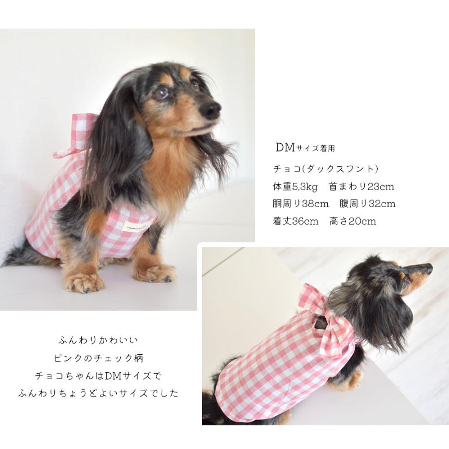 【在庫処分セールの為返品交換不可】リボン タイ ワンピース snowdrop レース チェックブラウス 涼しい 犬 夏服 キャミソール タンクトップ ゆうパケット対応 |  | 03