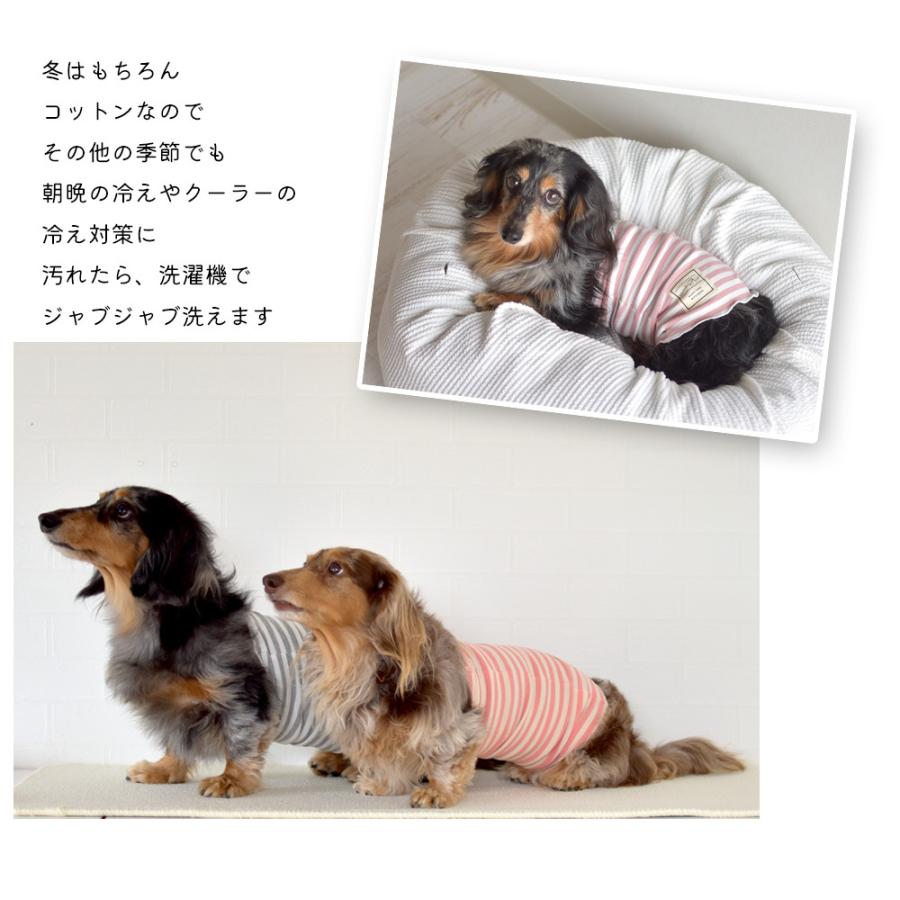 最大73 オフ はらまき 腹巻 Snowerop 冷房対策 腸活 ボディーウォーマー シニア パピー 犬 服 ゆうパケット対応 Discoversvg Com