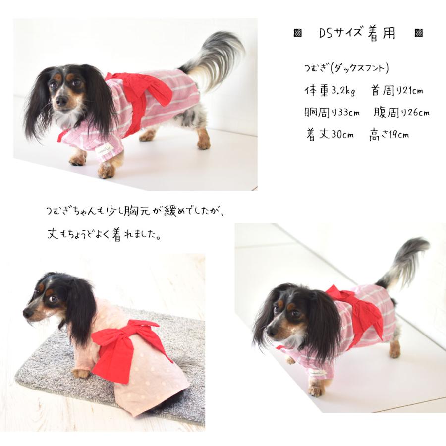 【在庫処分セールの為返品交換不可】ダックスサイズ　浴衣　ペット 犬 猫 浴衣 服 犬服 ゆかた 春夏 夏服 和服 和風 着物 お散歩 ゆうパケット対応｜snowdrop｜10