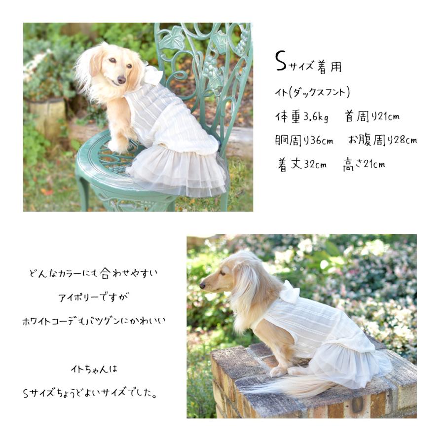 犬服^ ^重ね着 CanNana 【WEB限定】犬 服 犬の服 通年 レイヤー インナー