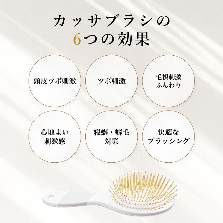 SNOW FOX SKINCARE NEW プレミアム FOX カッサ ヘアブラシ ホワイト