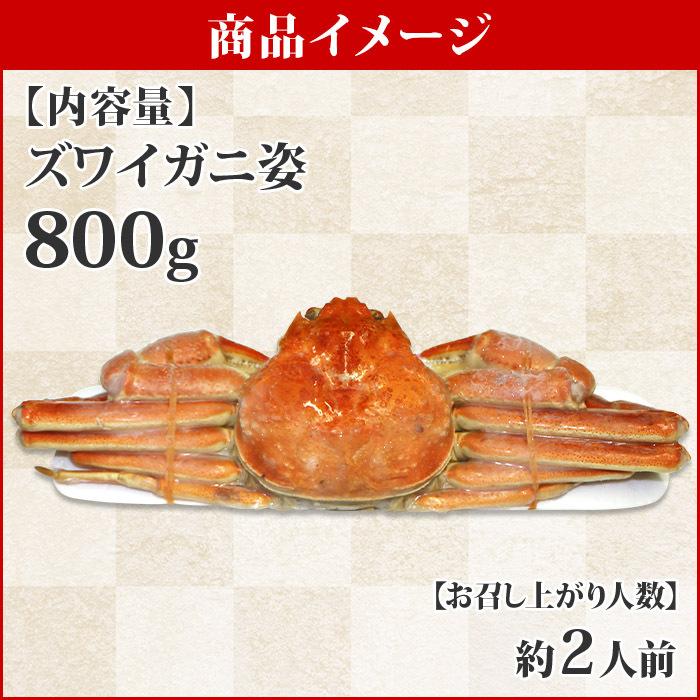 ズワイガニ 姿 800g かに ボイル カニ 取り寄せ 蟹 ギフト 海鮮 お鍋 ずわい蟹 グルメ バレンタイン チョコ以外 北海道市場 北国からの贈り物 通販 Yahoo ショッピング