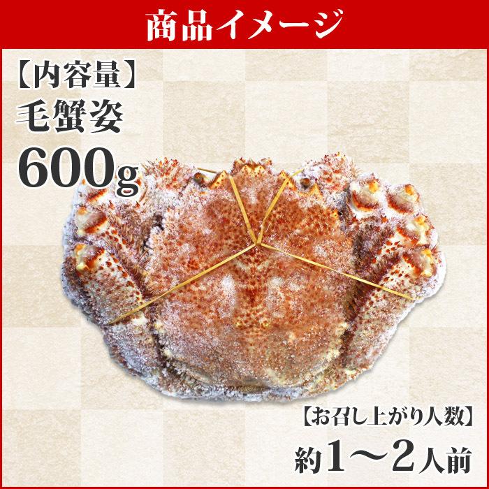 北海道 毛蟹 600g かに ボイル カニ ギフト 蟹 姿 海鮮 毛ガニ｜snowland｜02