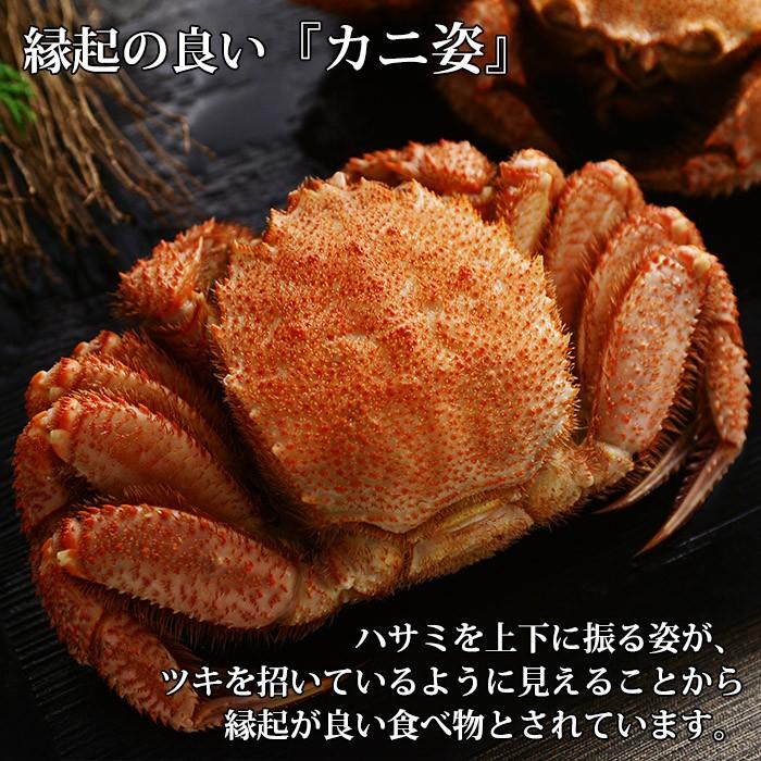 御中元 北海道 毛蟹 姿 600g お中元 かに ボイル カニ ギフト 蟹 海鮮 毛ガニ 食べ物 プレゼント 21年 北海道市場 北国からの贈り物 通販 Yahoo ショッピング