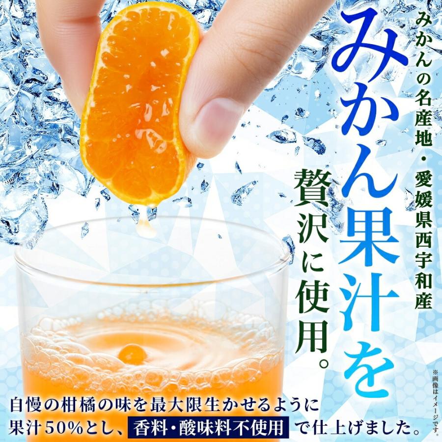 北国からの贈り物 農園直送 温州みかん スパークリングジュース