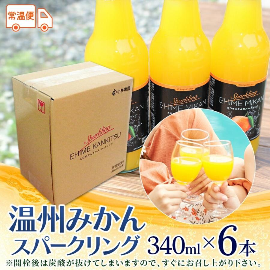北国からの贈り物 農園直送 温州みかん スパークリングジュース