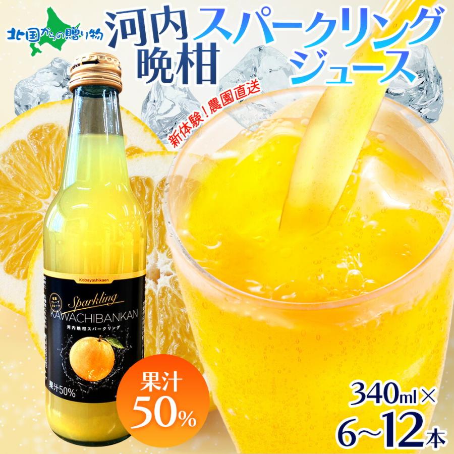 北国からの贈り物 農園直送 河内晩柑 スパークリングジュース 340mlx6