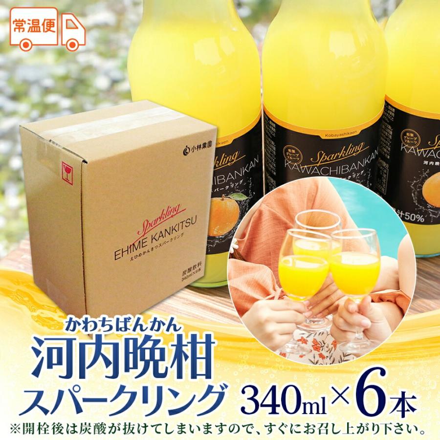 河内晩柑ジュース　１２本 北国からの贈り物 農園直送 河内晩柑 スパークリングジュース 340mlx6