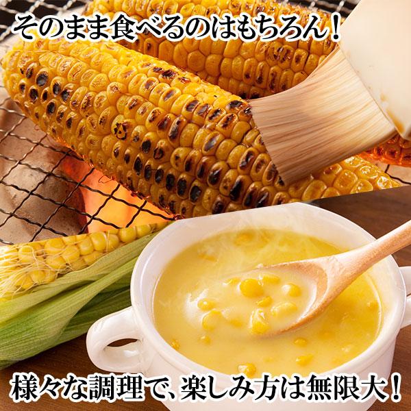 とうもろこし 北海道 10本 約4.3kg トウモロコシ 美味しい 甘い 味来 お取り寄せ グルメ ギフト お土産 BBQ 食材 バーベキュー｜snowland｜05