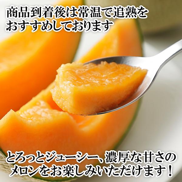 北国からの贈り物 富良野メロン 秀品 3-6玉 計8kg 北海道 果物 赤肉