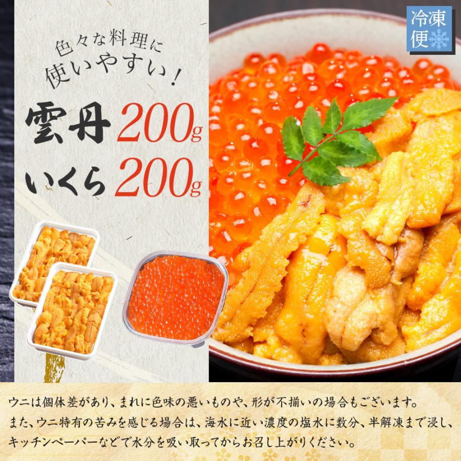 北国からの贈り物 海鮮 ギフト 二色丼セット 4人前 うに いくら 海鮮丼