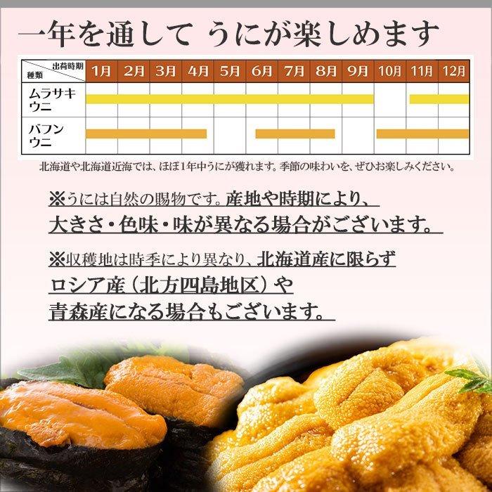 北国からの贈り物 うに 訳あり ウニ 北海道 塩水うに 80gx2個 お