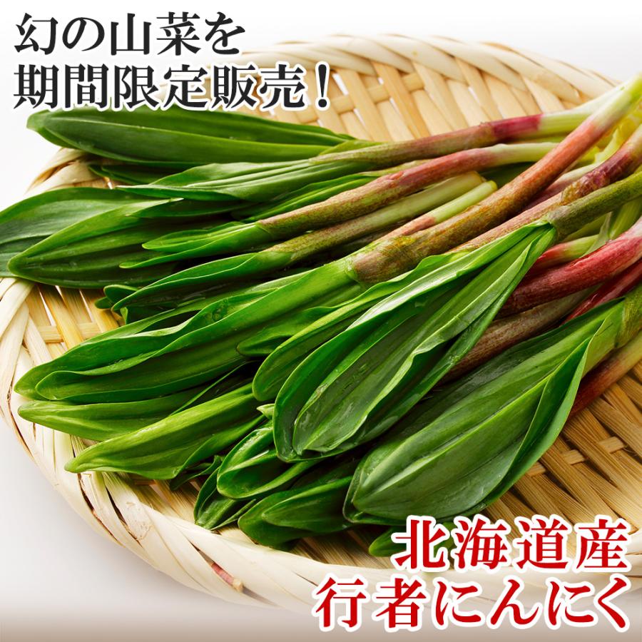 北国からの贈り物 行者にんにく 1kg 行者ニンニク 北海道産 山菜 北国からの贈り物 行者にんにく 1kg 行者ニンニク 北海道産 山菜
