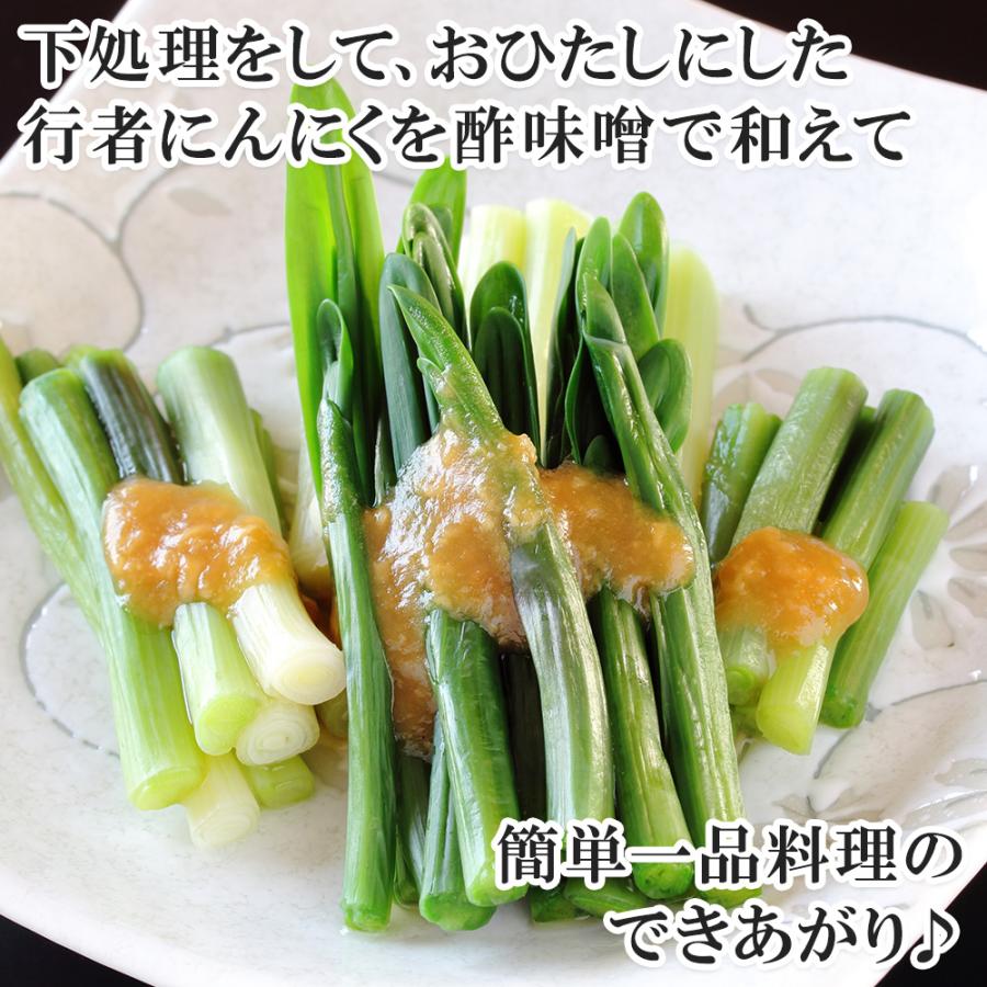 北国からの贈り物 行者にんにく 1kg 行者ニンニク 北海道産 山菜 北国からの贈り物 行者にんにく 1kg 行者ニンニク 北海道産 山菜