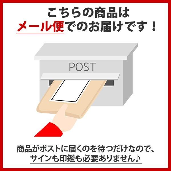 干し芋 黄金さつま 2個x100g 内祝い お返し メール便 お菓子 ポイント消化 ほしいも 紅はるか 国産 お取り寄せ｜snowland｜08