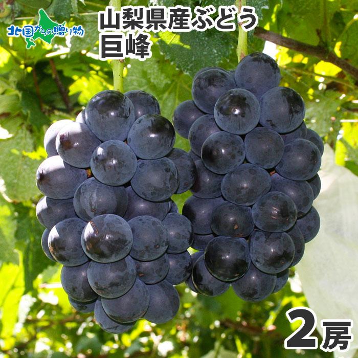 山梨県産 彩り葡萄 房 3kg箱 即日発送 【公式通販】