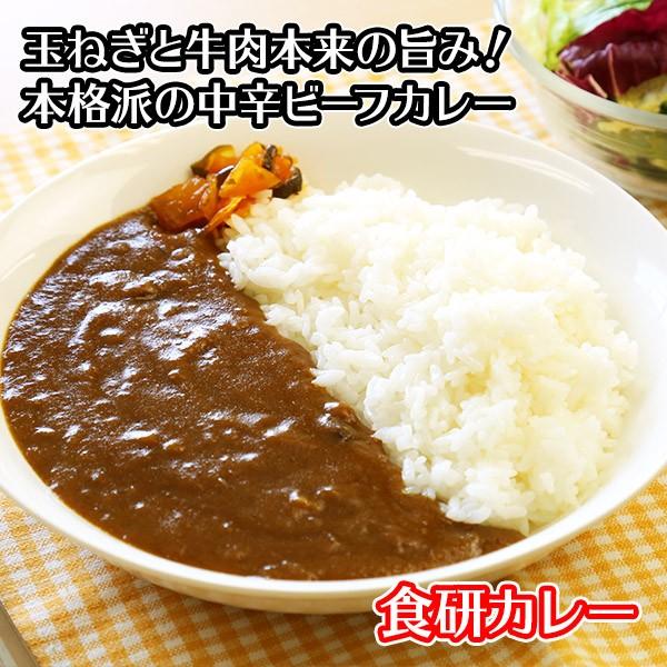 カレー レトルト 食研カレー セット 4食 お取り寄せ メール便 セール ポイント消化 送料無料 食品｜snowland｜02