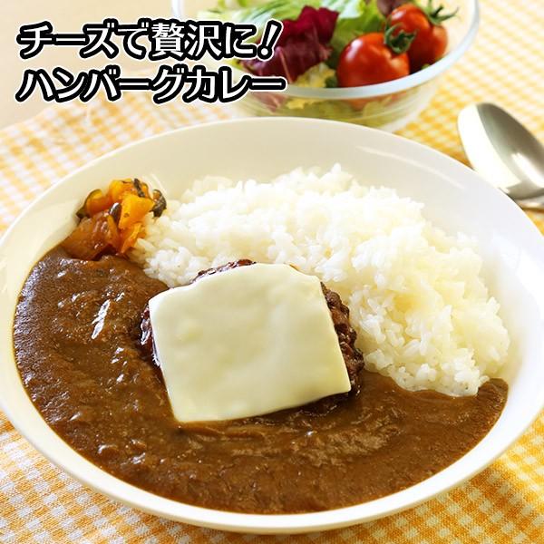 カレー レトルト 食研カレー セット 4食 お取り寄せ メール便 セール ポイント消化 送料無料 食品｜snowland｜06