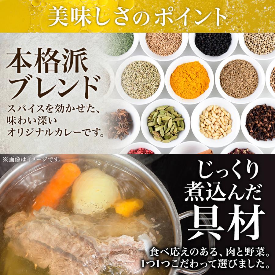 北海道 スープカレー レトルト 4食 ギフト セット お取り寄せ ご当地 カレー チキンレッグ｜snowland｜04