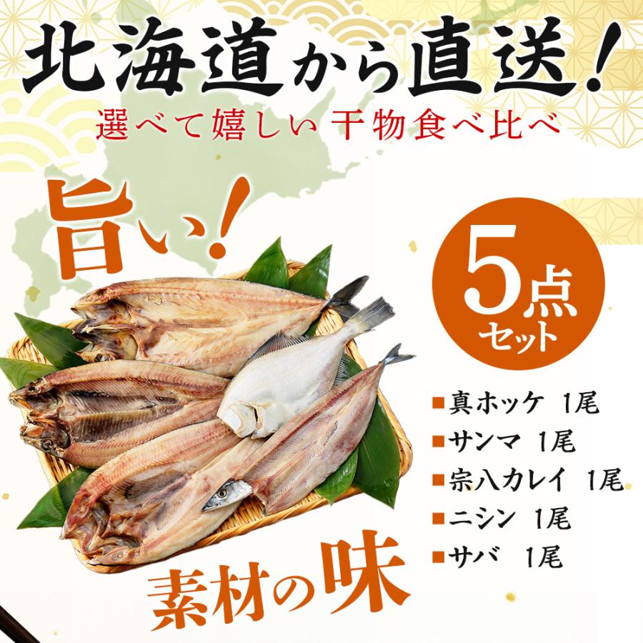 北国からの贈り物 母の日 北海道 干物 セット 5点 魚 海鮮 北国からの贈り物 母の日 北海道 干物 セット 5点 魚 海鮮