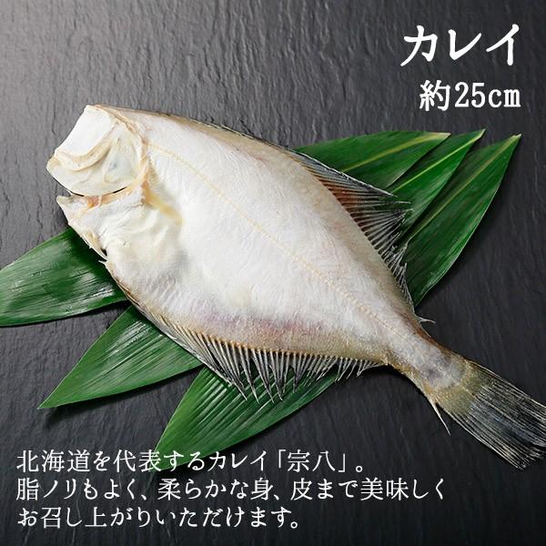 北海道 干物 セット 詰め合わせ 5点 お土産 海産物 父の日 プレゼント 海鮮 ギフト 食べ物 魚 ホッケ｜snowland｜06