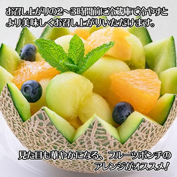 北国からの贈り物 メロン ギフト アールスメロン 1玉 果物 フルーツ